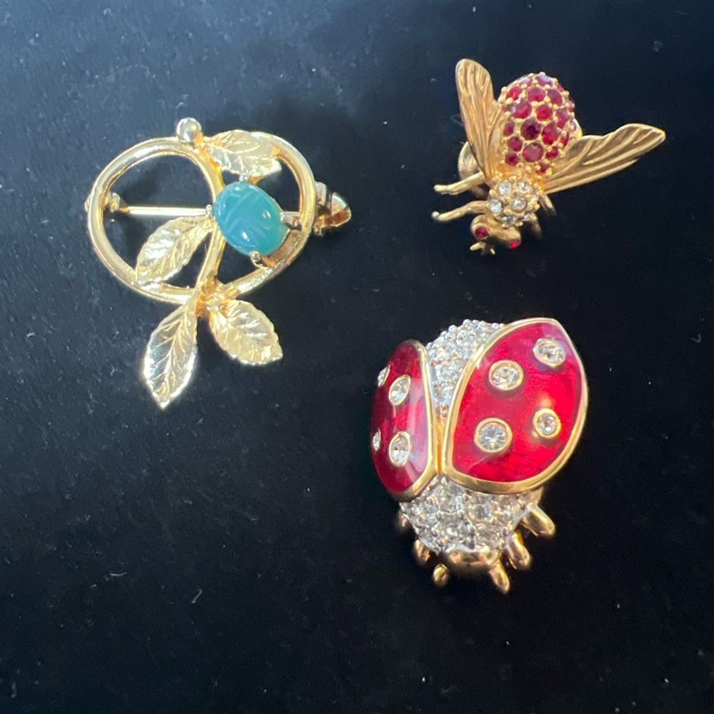 Gold and Red Insect Brooch Set